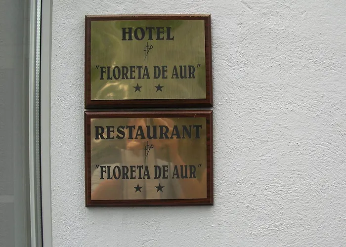 Federatia Romana De Scrima - Floreta De Aur Hotel Boekarest